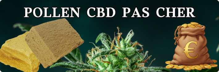 Pollen CBD pas cher de qualité à prix accessible